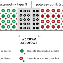 Schemat złącza PN, kluczowego elementu dla działania diody Zenera, pokazuje obszary typu N i P z warstwą zaporową.