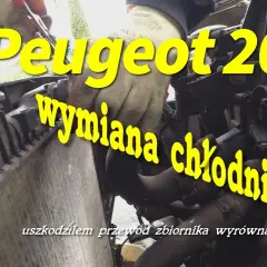 Jaki płyn do chłodnicy Peugeot 206? Oto co musisz wiedzieć