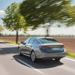 Szara Skoda Octavia 4 jedzie drogą wśród drzew.