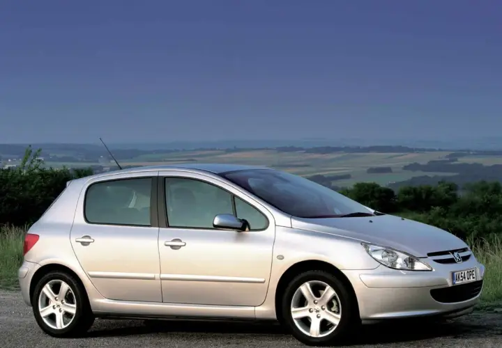 Srebrny Peugeot 307 2.0 HDI na tle malowniczego krajobrazu.