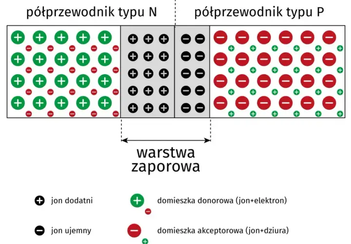 Schemat złącza PN, kluczowego elementu dla działania diody Zenera, pokazuje obszary typu N i P z warstwą zaporową.