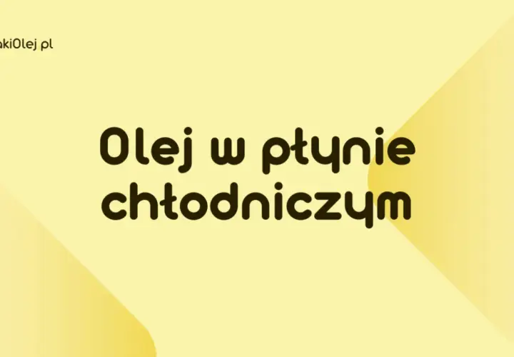 Olej w płynie chłodniczym. JakiOlej.pl wyjaśnia, jak wybrać odpowiedni olej do chłodnicy.