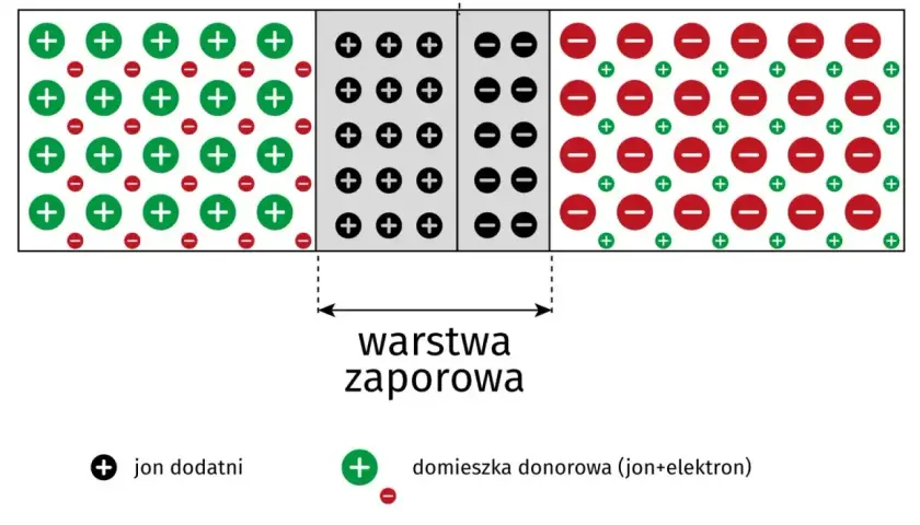 Schemat złącza PN, kluczowego elementu dla działania diody Zenera, pokazuje obszary typu N i P z warstwą zaporową.