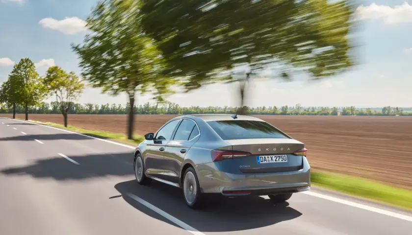 Szara Skoda Octavia 4 jedzie drogą wśród drzew.
