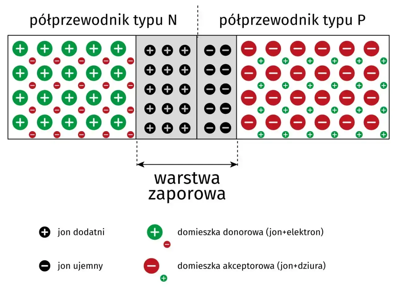Schemat złącza PN, kluczowego elementu dla działania diody Zenera, pokazuje obszary typu N i P z warstwą zaporową.