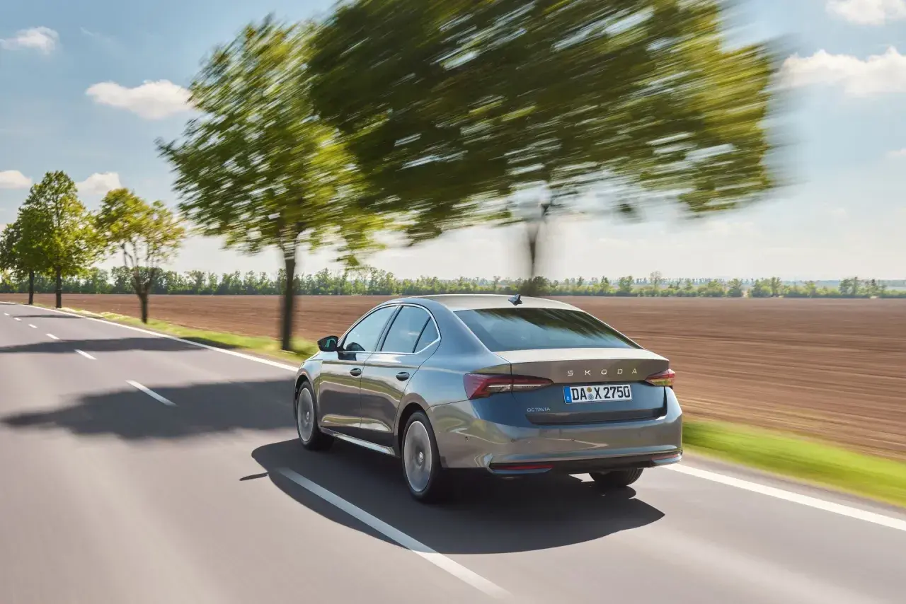 Szara Skoda Octavia 4 jedzie drogą wśród drzew.