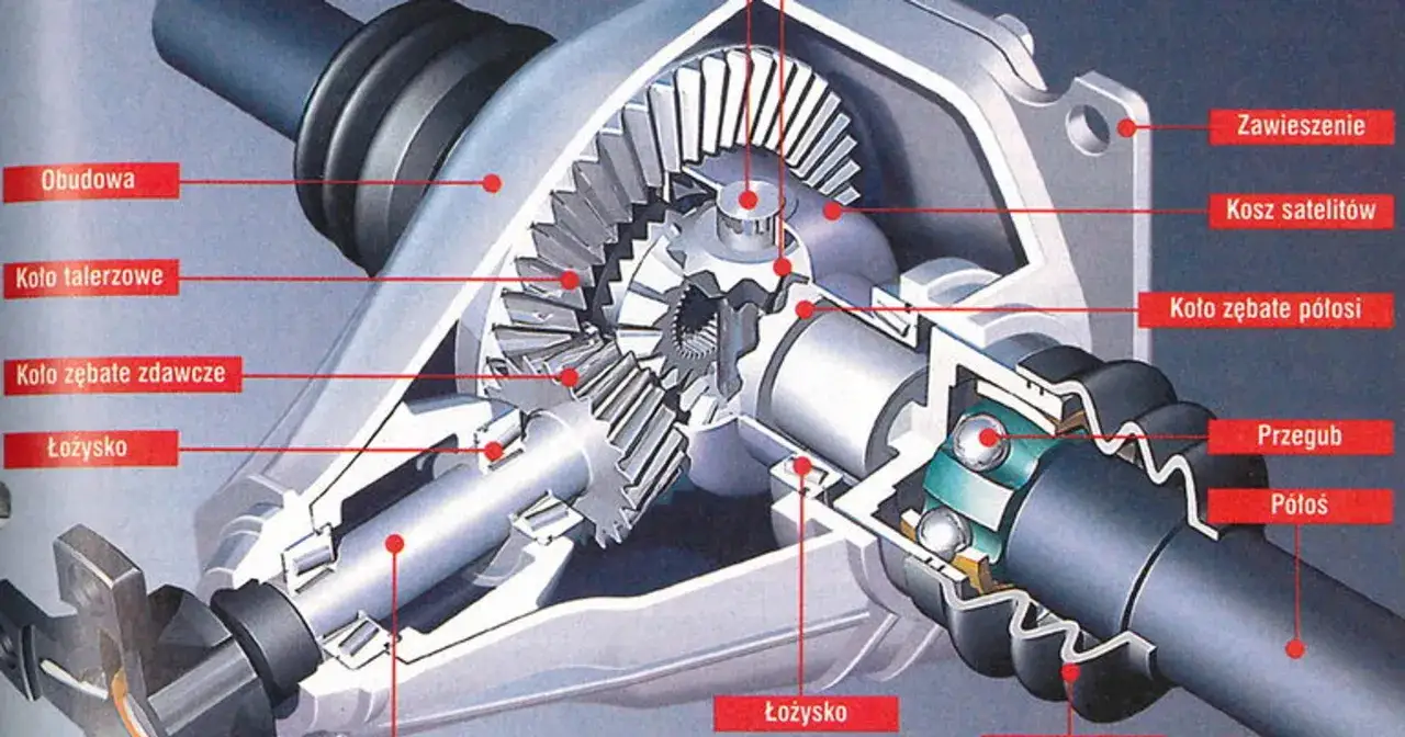 Przekrój mechanizmu różnicowego (dyferencjału) z widocznymi kołami zębatymi, łożyskami i półosią.
